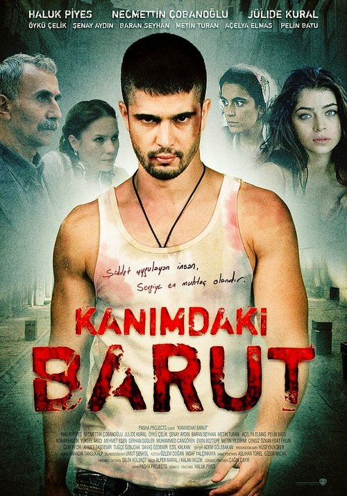 Смотреть фильм Порох в моей крови / Kanimdaki Barut (2009) онлайн в хорошем качестве HDRip