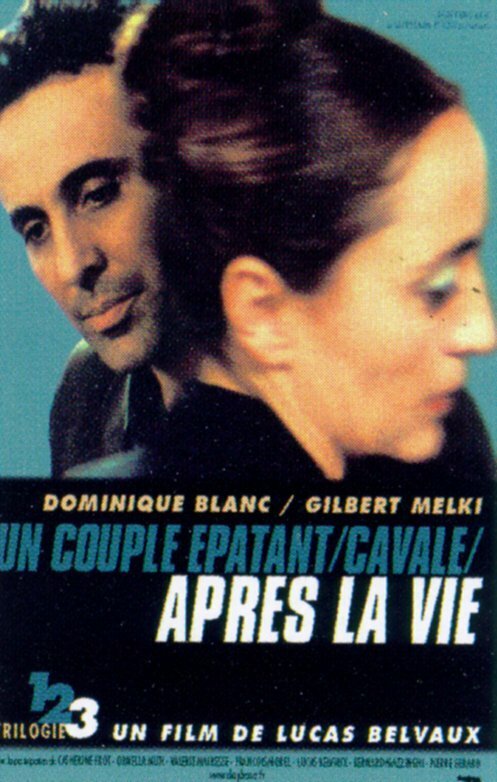 Смотреть фильм После жизни / Après la vie (2002) онлайн в хорошем качестве HDRip