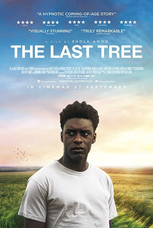 Смотреть фильм Последнее дерево / The Last Tree (2019) онлайн в хорошем качестве HDRip