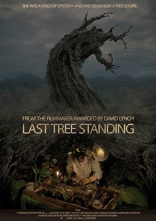 Последнее оставшееся дерево / Last Tree Standing