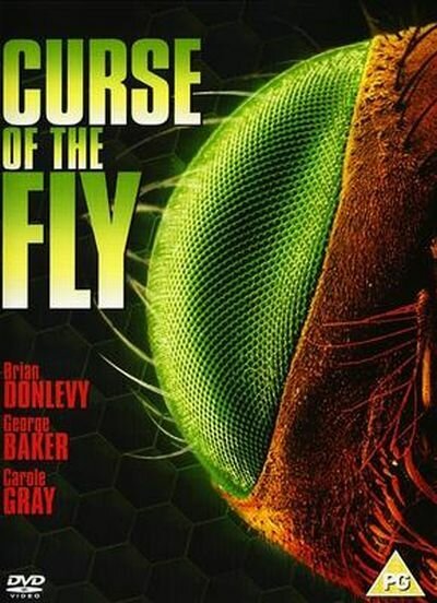 Смотреть фильм Проклятие мухи / Curse of the Fly (1965) онлайн в хорошем качестве SATRip