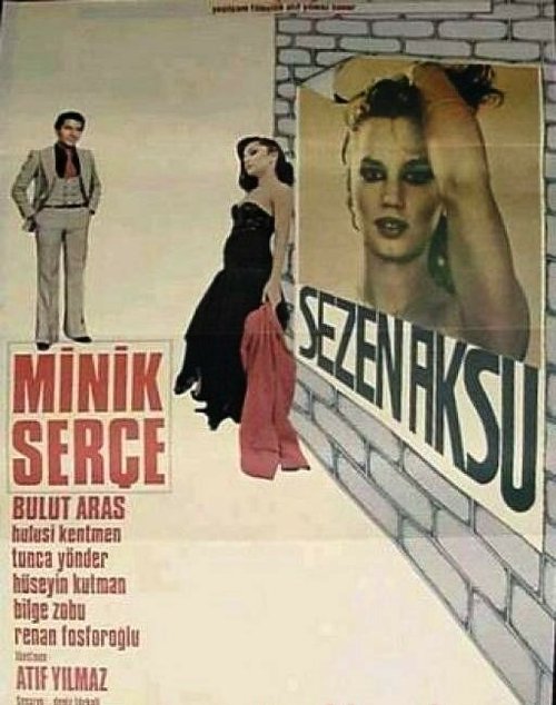 Смотреть фильм Прощальная песня любви / Minik Serce (1979) онлайн в хорошем качестве SATRip