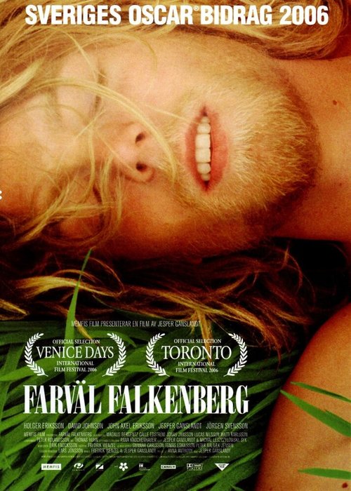 Смотреть фильм Прощай, Фалькенберг! / Farväl Falkenberg (2006) онлайн в хорошем качестве HDRip