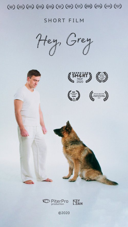 Смотреть фильм Прости меня, пёс! (2020) онлайн 
