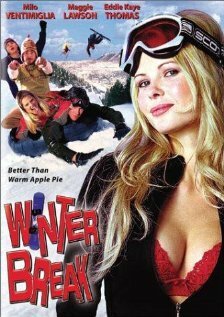 Смотреть фильм Просто праздник какой-то! / Winter Break (2003) онлайн в хорошем качестве HDRip