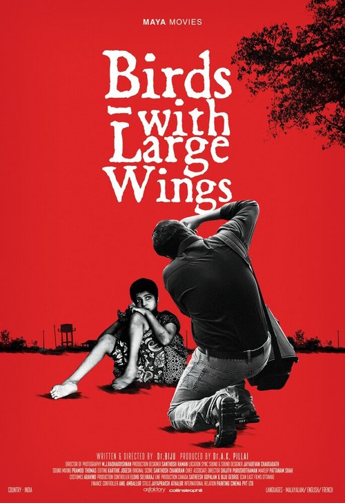 Смотреть фильм Птицы с большими крыльями / Birds with Large Wings (2015) онлайн в хорошем качестве HDRip