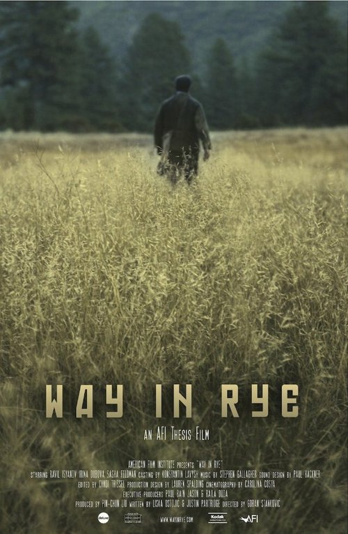 Смотреть фильм Путь во ржи / Way in Rye (2013) онлайн в хорошем качестве HDRip