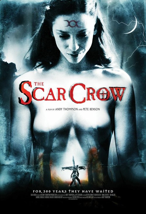 Смотреть фильм Раненый ворон / The Scar Crow (2009) онлайн в хорошем качестве HDRip