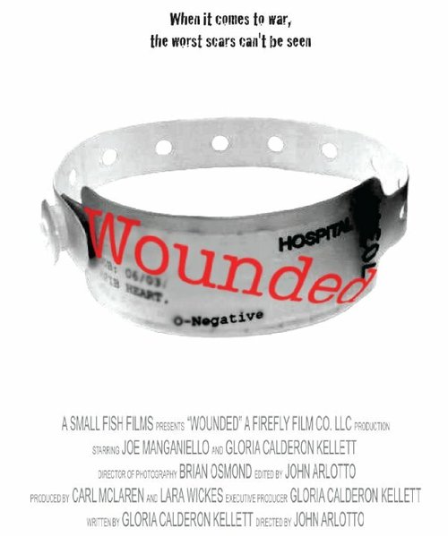 Смотреть фильм Раненый / Wounded (2008) онлайн 