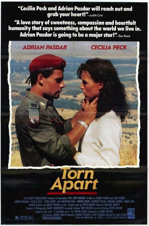 Смотреть фильм Раздираемый на части / Torn Apart (1990) онлайн в хорошем качестве HDRip