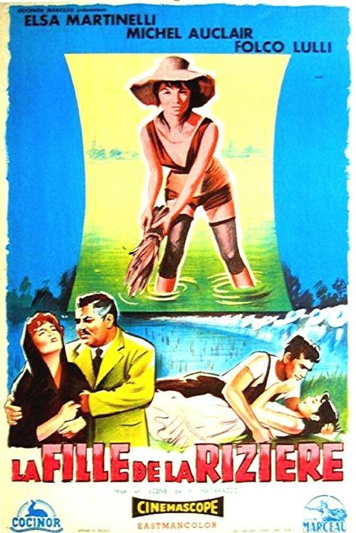 Смотреть фильм Рисовое поле / La risaia (1956) онлайн в хорошем качестве SATRip
