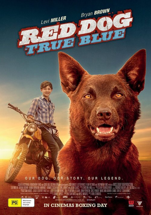 Смотреть фильм Рыжий пес: Самый верный / Red Dog: True Blue (2016) онлайн в хорошем качестве CAMRip