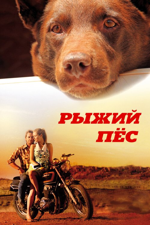 Смотреть фильм Рыжий пес / Red Dog (2011) онлайн в хорошем качестве HDRip