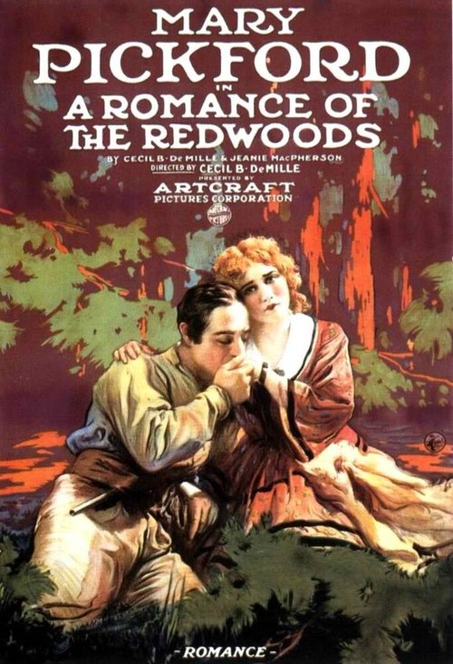 Смотреть фильм Роман в Редвудс / A Romance of the Redwoods (1917) онлайн в хорошем качестве SATRip