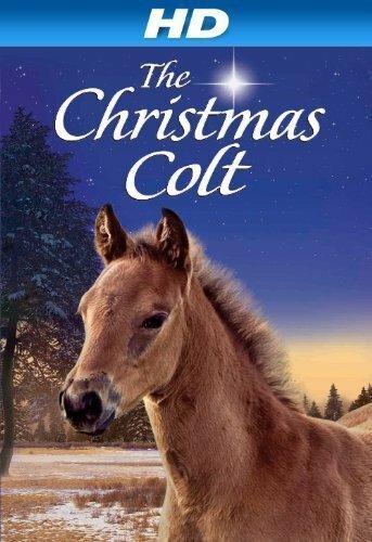 Смотреть фильм Рождественский жеребёнок / The Christmas Colt (2013) онлайн в хорошем качестве HDRip