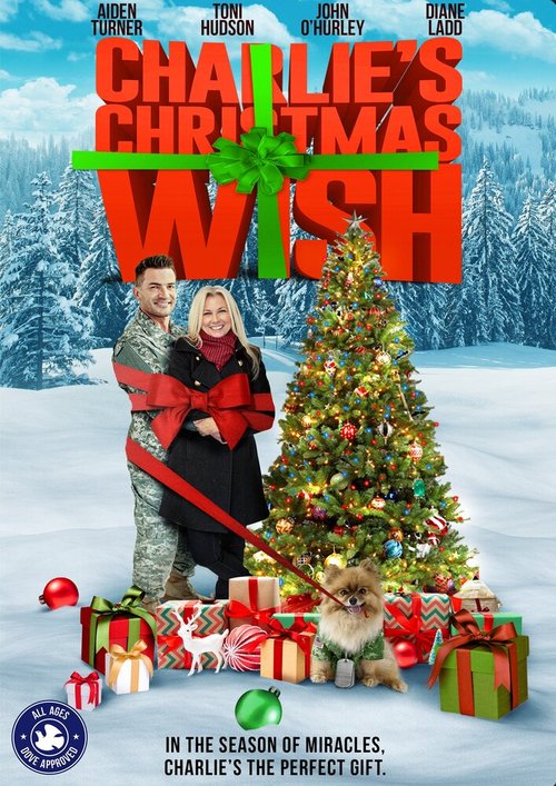 Смотреть фильм Рождественское желание Чарли / Charlie's Christmas Wish (2020) онлайн в хорошем качестве HDRip