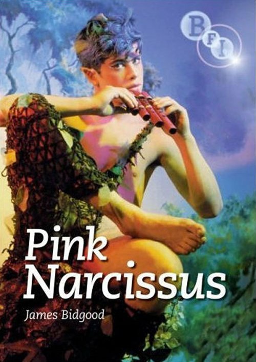 Смотреть фильм Розовый нарцисс / Pink Narcissus (1971) онлайн в хорошем качестве SATRip