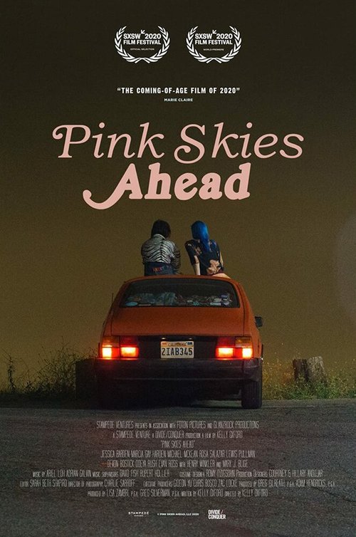 Смотреть фильм Розовое небо впереди / Pink Skies Ahead (2020) онлайн в хорошем качестве HDRip
