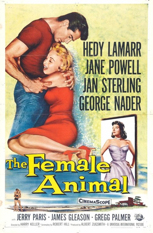 Смотреть фильм Самка / The Female Animal (1958) онлайн в хорошем качестве SATRip