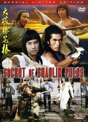 Смотреть фильм Секрет столбов Шаолиня / Fang Shi Yu da po mei hua zhuang (1977) онлайн в хорошем качестве SATRip