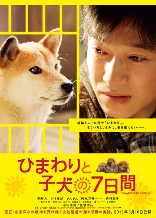 Смотреть фильм Семь дней Химавари и ее щенков / Himawari to koinu no 7-kakan (2012) онлайн в хорошем качестве HDRip