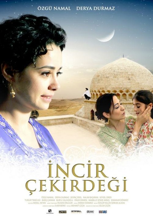 Смотреть фильм Семена риса / Incir çekirdegi (2009) онлайн в хорошем качестве HDRip