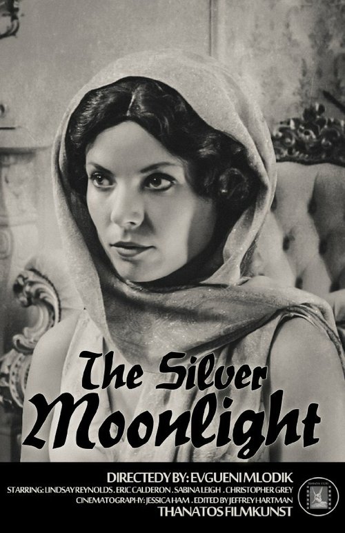 Смотреть фильм Серебристый свет луны / The Silver Moonlight (2015) онлайн в хорошем качестве HDRip