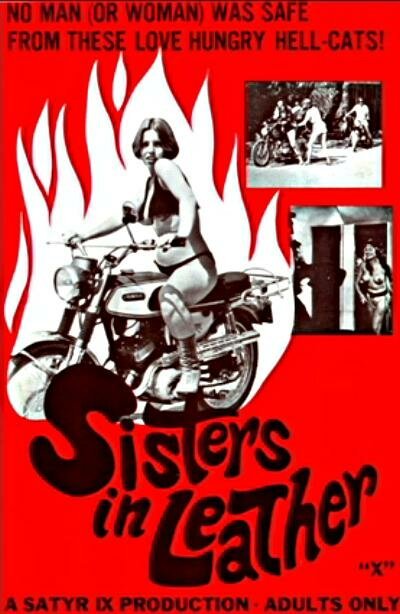 Смотреть фильм Сестрички в коже / Sisters in Leather (1969) онлайн в хорошем качестве SATRip