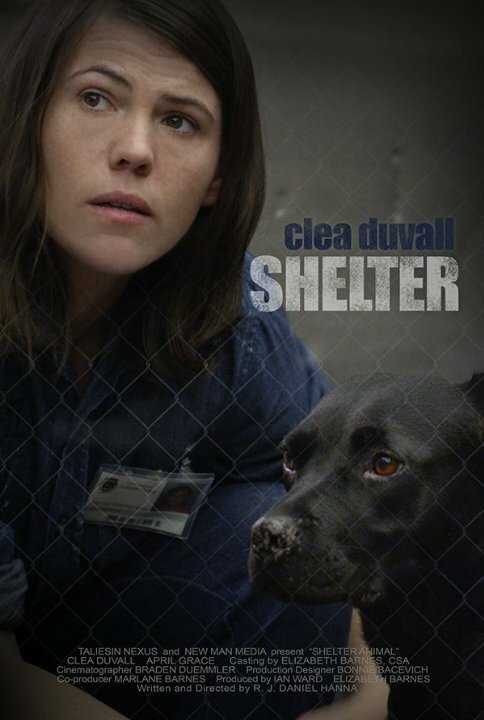 Смотреть фильм Shelter (2015) онлайн 