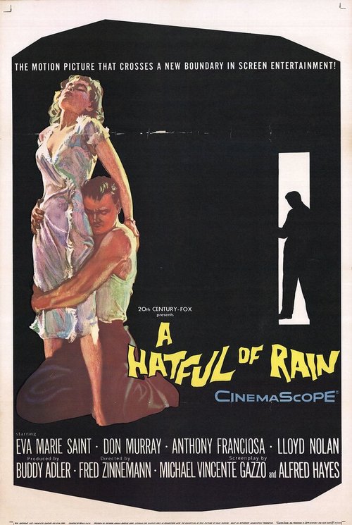 Смотреть фильм Шляпа, полная дождя / A Hatful of Rain (1957) онлайн в хорошем качестве SATRip