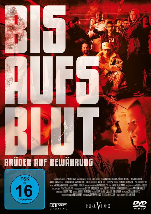 Смотреть фильм Сильнее родства / Bis aufs Blut - Brüder auf Bewährung (2010) онлайн в хорошем качестве HDRip