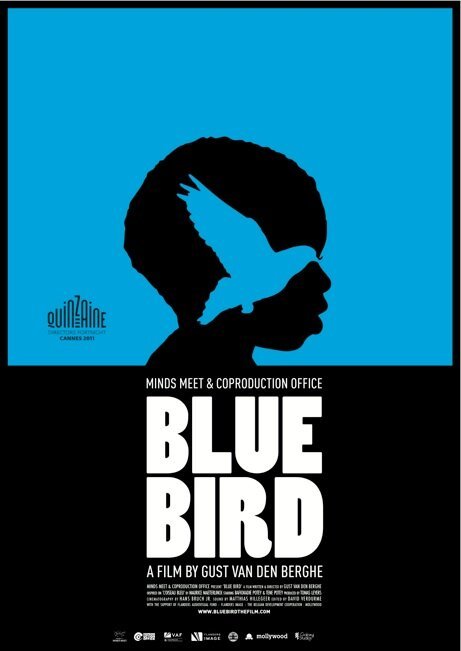 Синяя птица / Blue Bird