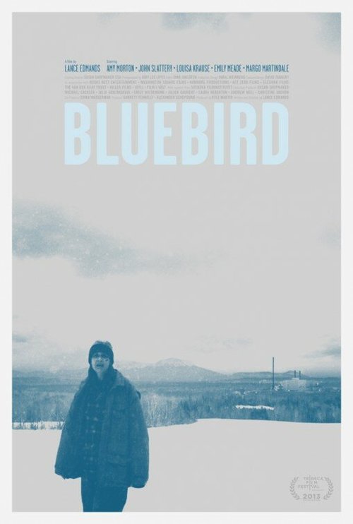 Синяя птица / Bluebird