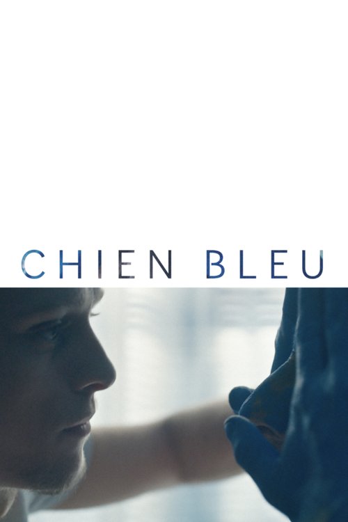 Синяя собака / Chien bleu