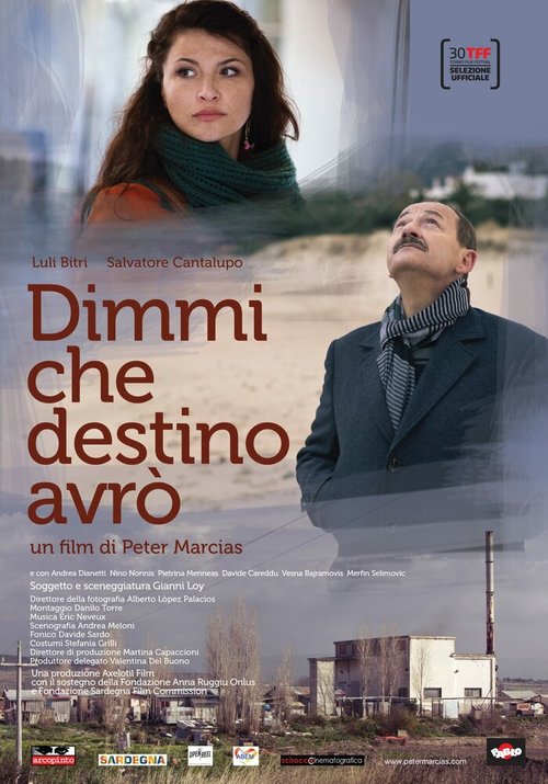 Смотреть фильм Скажи мне о моей судьбе / Dimmi che destino avrò (2012) онлайн 