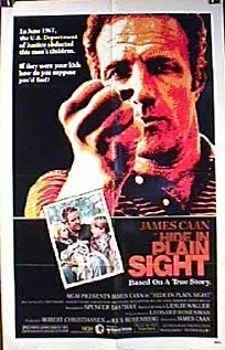 Смотреть фильм Скрой у всех на виду / Hide in Plain Sight (1980) онлайн в хорошем качестве SATRip
