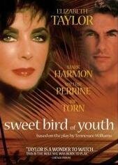 Смотреть фильм Сладкоголосая птица юности / Sweet Bird of Youth (1989) онлайн в хорошем качестве SATRip