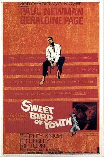 Смотреть фильм Сладкоголосая птица юности / Sweet Bird of Youth (1962) онлайн в хорошем качестве SATRip