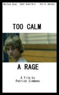 Смотреть фильм Слишком спокойная ярость / Too Calm a Rage (2011) онлайн 