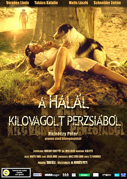 Смотреть фильм Смертельные трудности в Персии / A halál kilovagolt Perzsiából (2004) онлайн в хорошем качестве HDRip