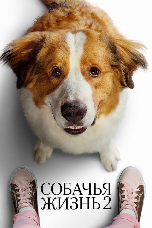 Смотреть фильм Собачья жизнь 2 / A Dog's Journey (2019) онлайн в хорошем качестве HDRip