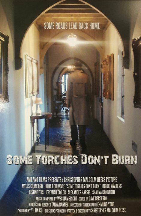 Смотреть фильм Some Torches Don't Burn (2015) онлайн в хорошем качестве HDRip