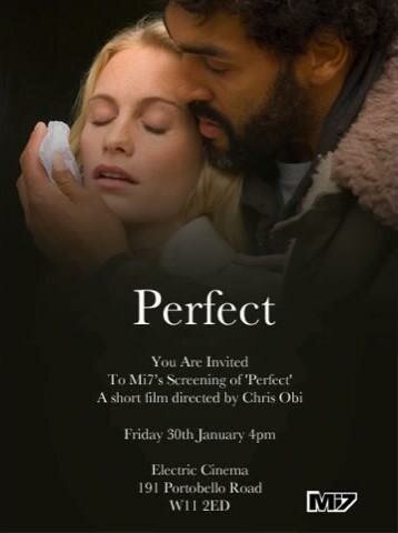 Смотреть фильм Совершенный / Perfect (2009) онлайн в хорошем качестве HDRip