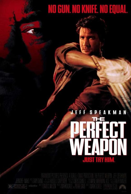 Смотреть фильм Совершенное оружие / The Perfect Weapon (1991) онлайн в хорошем качестве HDRip