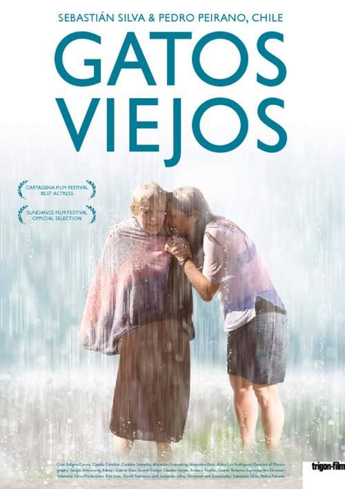 Смотреть фильм Старые коты / Gatos Viejos (2010) онлайн в хорошем качестве HDRip