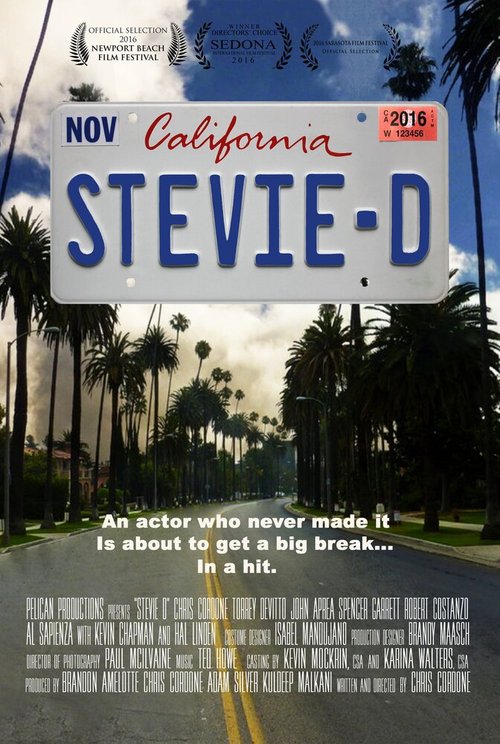 Смотреть фильм Стиви Ди / Stevie D (2016) онлайн в хорошем качестве CAMRip