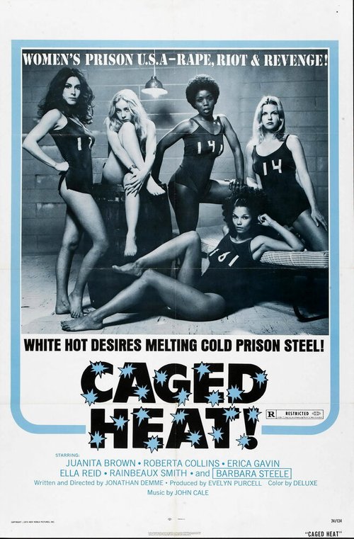 Смотреть фильм Страсть за решеткой / Caged Heat (1974) онлайн в хорошем качестве SATRip