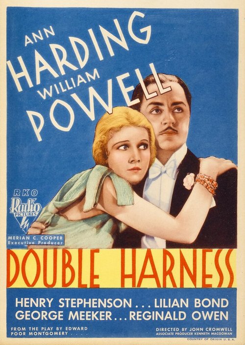 Смотреть фильм Супружество / Double Harness (1933) онлайн в хорошем качестве SATRip