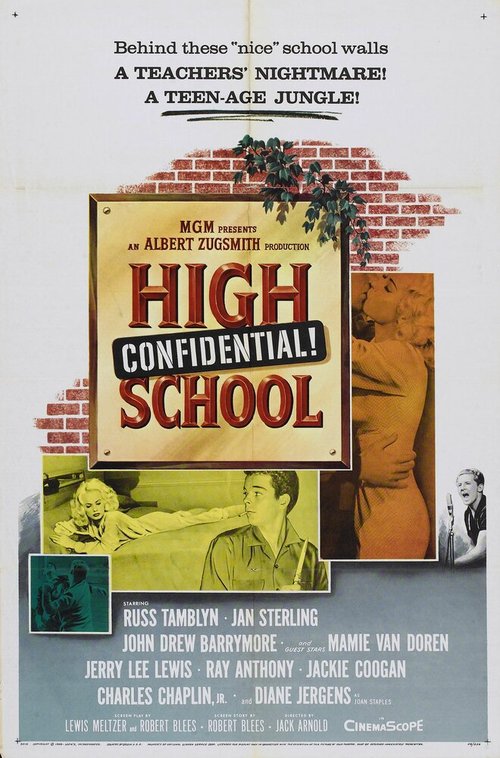 Смотреть фильм Тайна средней школы / High School Confidential! (1958) онлайн в хорошем качестве SATRip