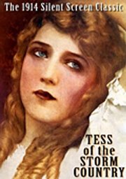 Смотреть фильм Тэсс из Страны бурь / Tess of the Storm Country (1914) онлайн в хорошем качестве SATRip